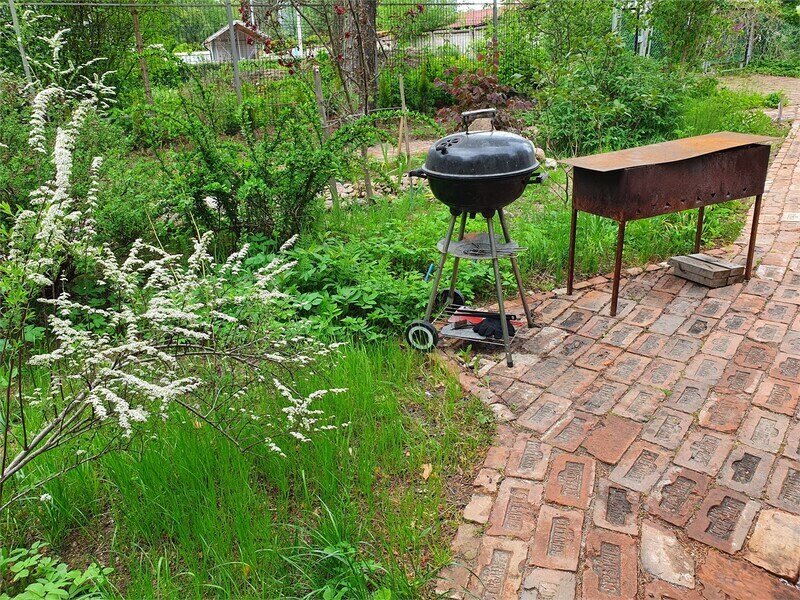 Тарховка (Песчаная 17), Ленинградская область: фото 5