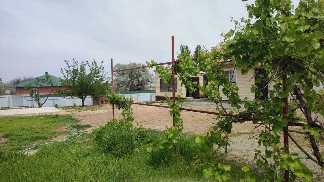 На раскатах в Воскресеновке, Астраханская область: фото 2