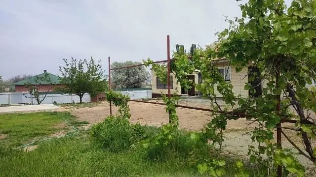 На раскатах в Воскресеновке, Астраханская область: фото 2