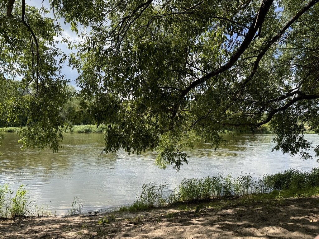 Фото из отзыва от 04.06.2024