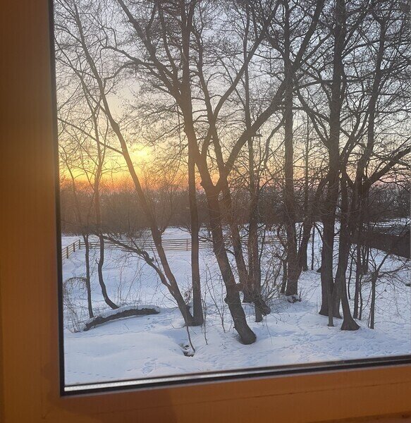 Домик 2-местный №1