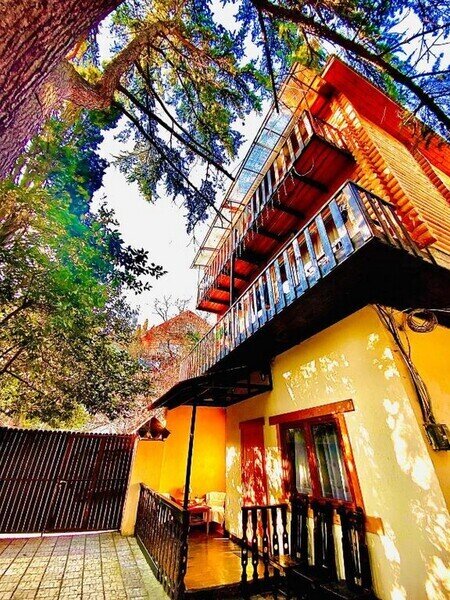 Теремок, Крым: фото 5