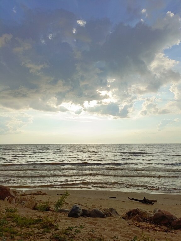 Фото из отзыва от 10.06.2024