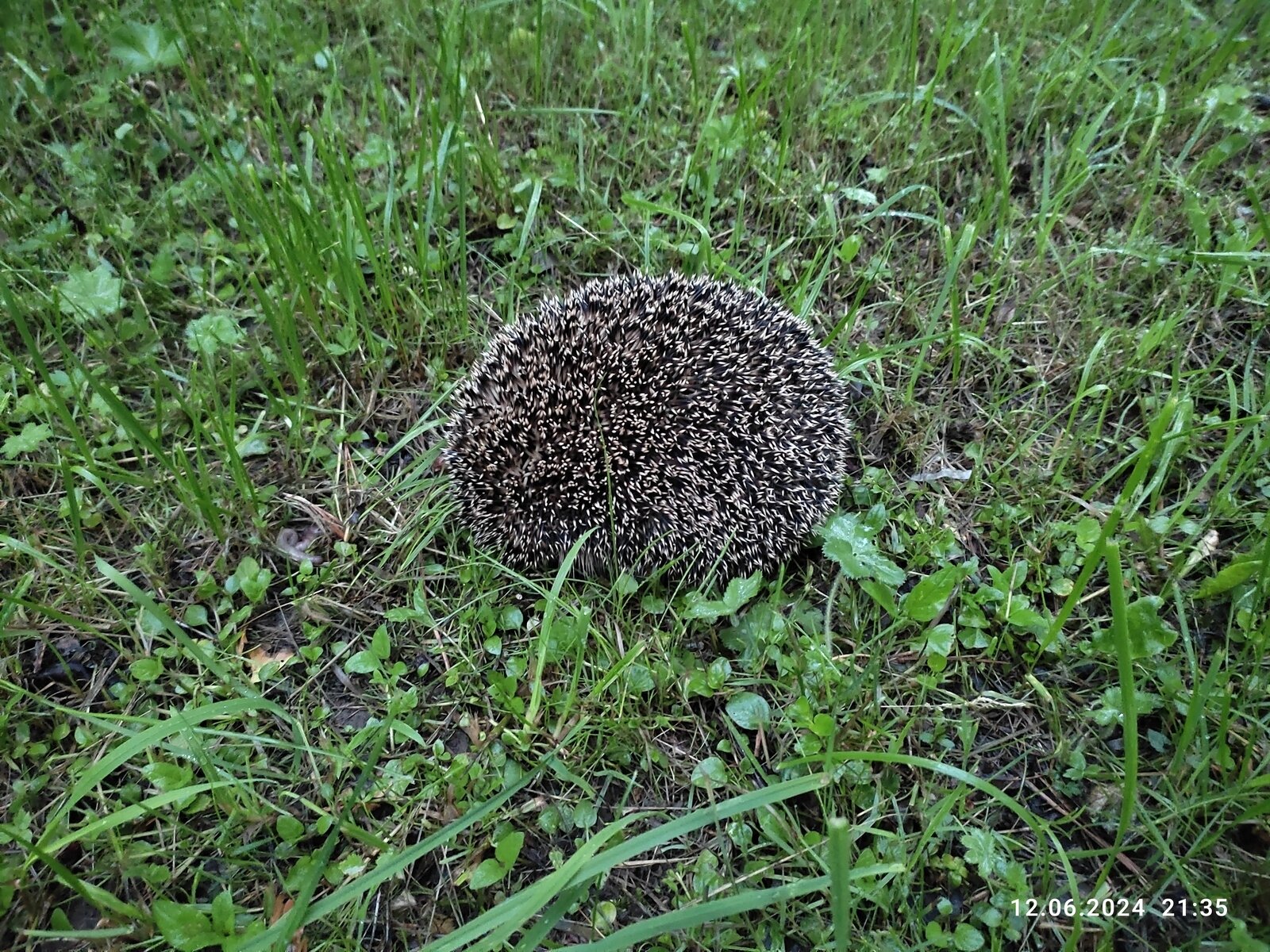 Фото 21 из отзыва о базе отдыха Бриз