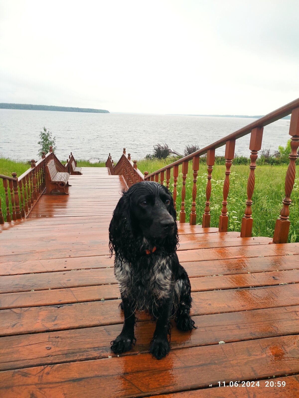 Фото 22 из отзыва о базе отдыха Бриз