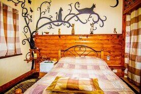 Одноместная комната "Коты", База отдыха Усадьба рыцаря Эдварда Остера «Дом дракона», Черноморское