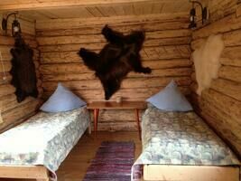 Домик 2х местный, База отдыха Суша.ЛТД, Чемальский район