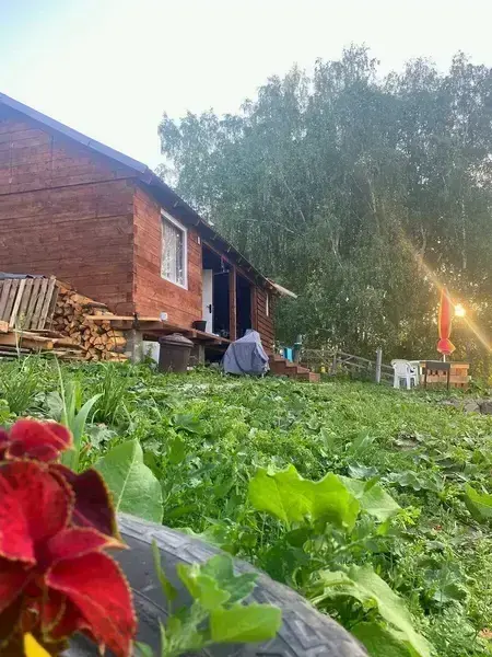 Дом у пруда, Алтайский край: фото 2