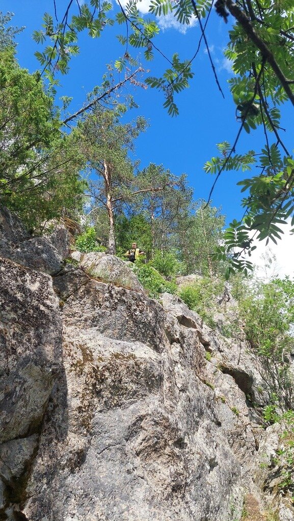 Фото из отзыва от 15.06.2024