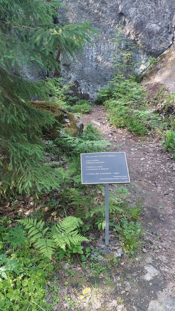 Фото из отзыва от 15.06.2024