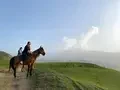 Верховые прогулки для новичков и профи — Глэмпинг «Глэмпинг Берег Неба», Грозный