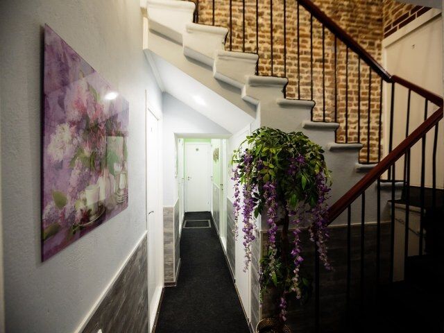 На Елизарово, Ленинградская область: фото 3