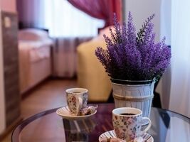 Студио улучшенный, Усадьба На Елизарово, Санкт-Петербург