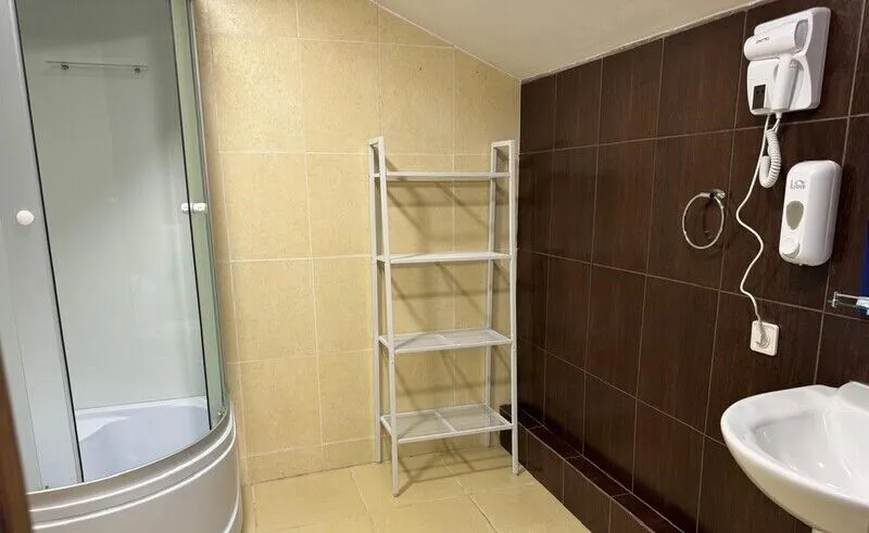 Стандартный Березка