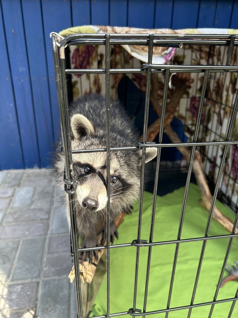 Фото из отзыва от 22.06.2024