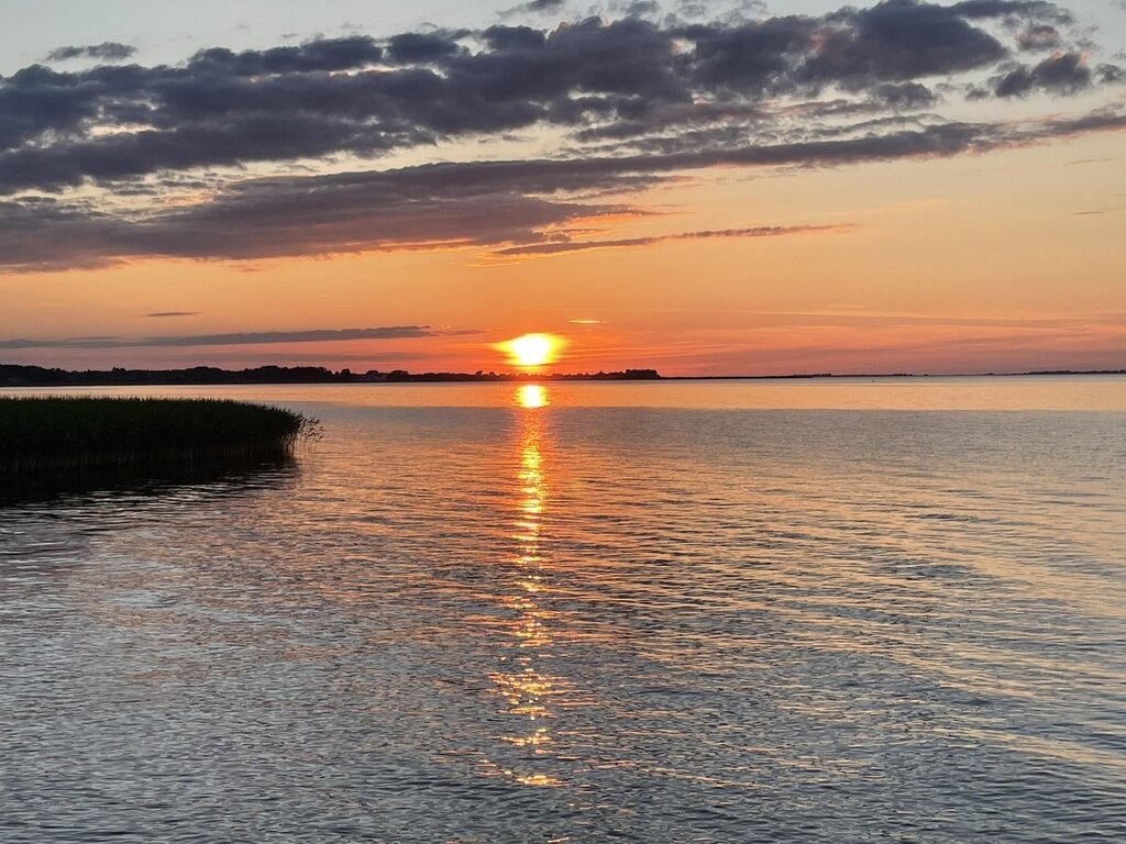 Фото из отзыва от 19.06.2024