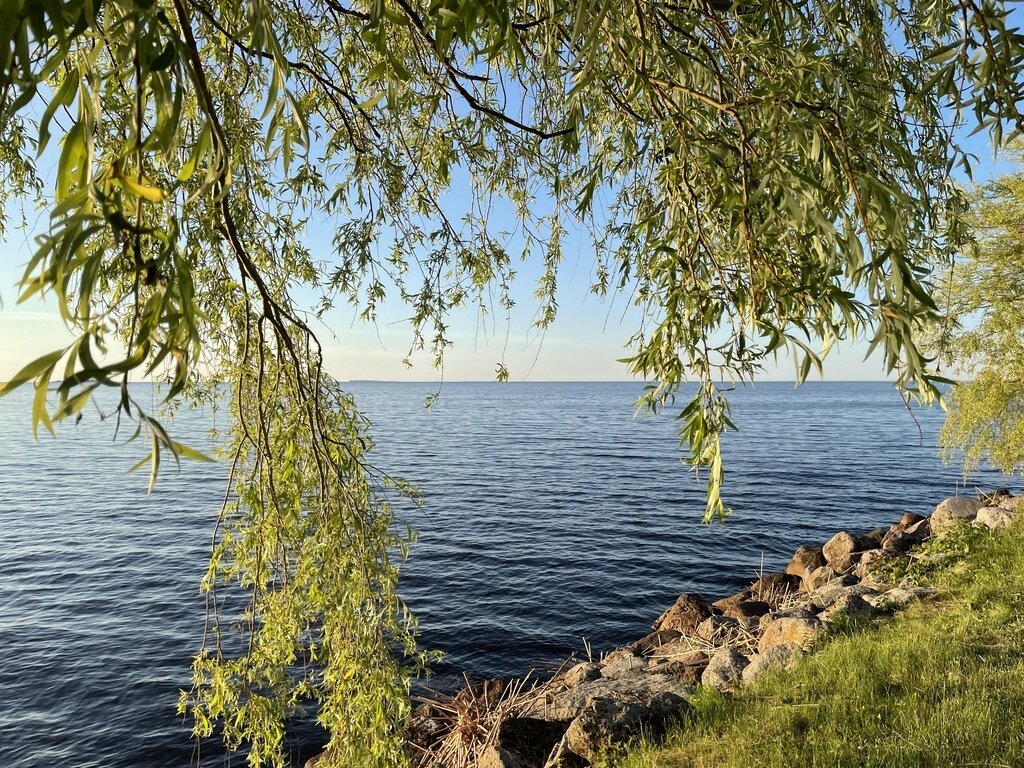 Фото из отзыва от 19.06.2024