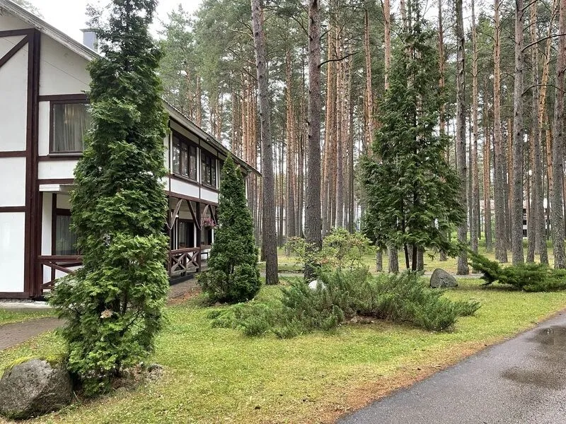 Фото 6 из отзыва об отеле Плесков