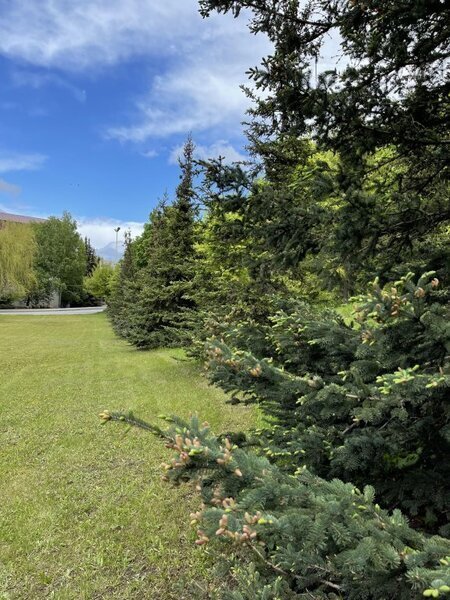 Гостинично-оздоровительный комплекс Сокол, Саратовская область, Саратов 