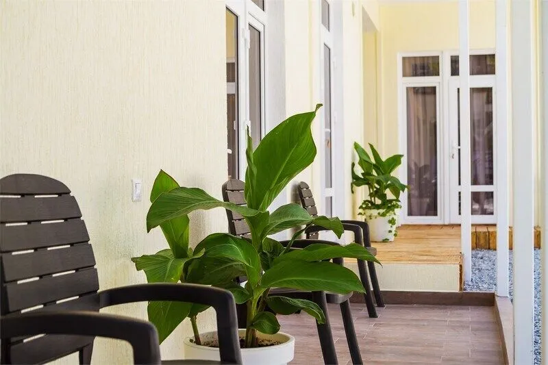 Улучшенный 3-местный