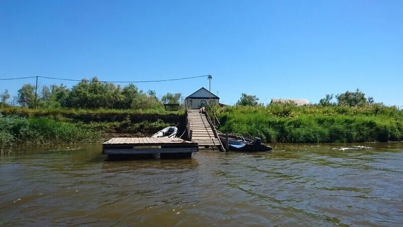 Кигач фиш, Астраханская область: фото 4