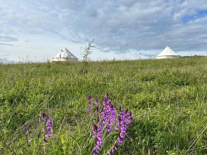 Медовые холмы, Ставропольский край: фото 2