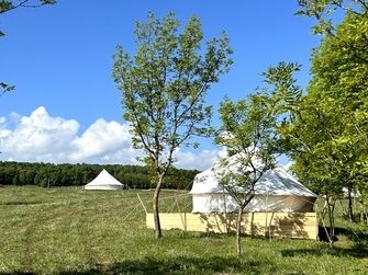 Глэмпинг Медовые холмы