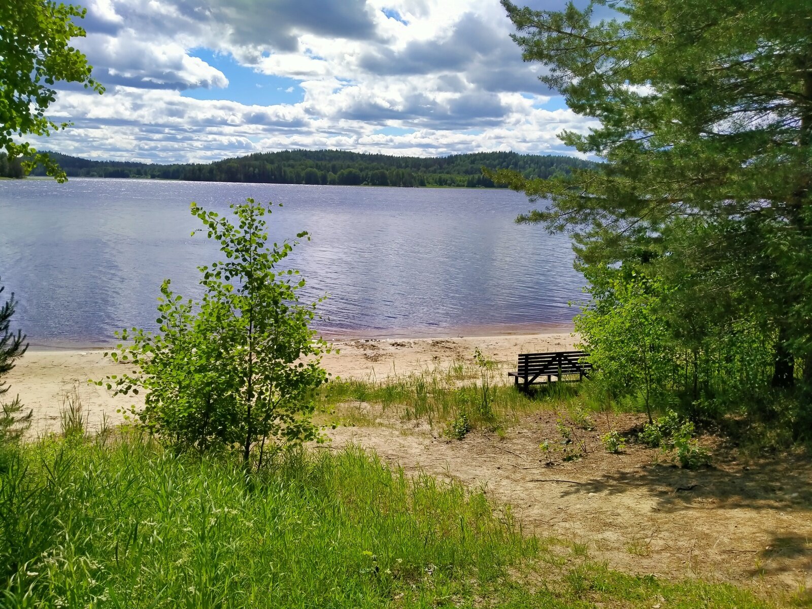 Фото 3 из отзыва о лесном отеле Янисъярви