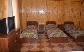 Таунхаус, База отдыха Лесовичок, Бабяково