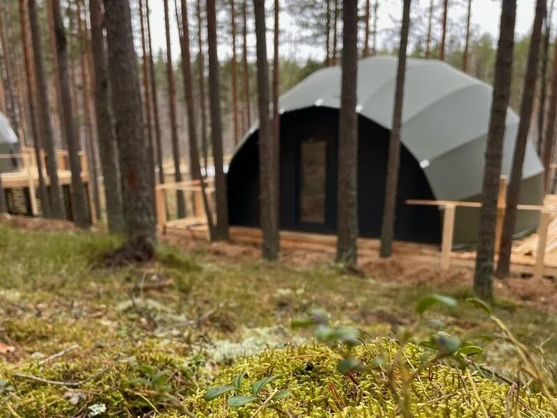 Мистические холмы, Ленинградская область: фото 5