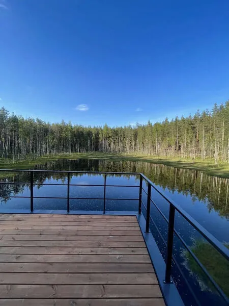 Мистические холмы, Ленинградская область: фото 3