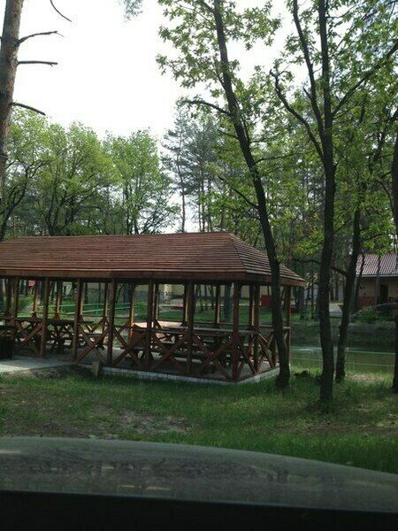 База отдыха Лесовичок, Воронежская область, Бабяково Новая Усмань