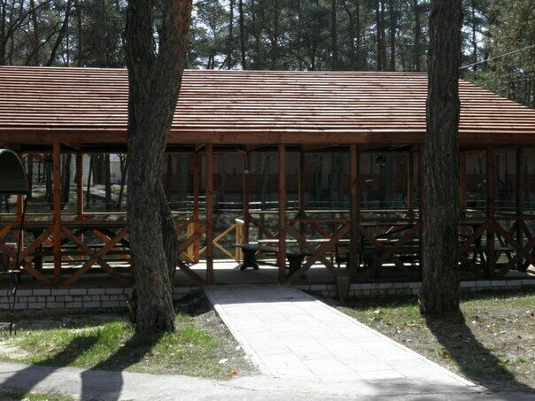 Лесовичок, Воронежская область: фото 5