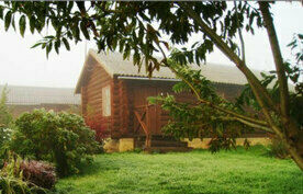 Номер в Рубленом домике, База отдыха BotovoHotel, Осташковский район