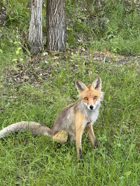 Фото 7 из отзыва о гостевом доме Хутор у залива