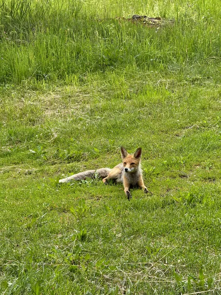 Фото 4 из отзыва о гостевом доме Хутор у залива