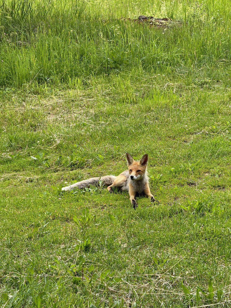 Фото 19 из отзыва о гостевом доме Хутор у залива