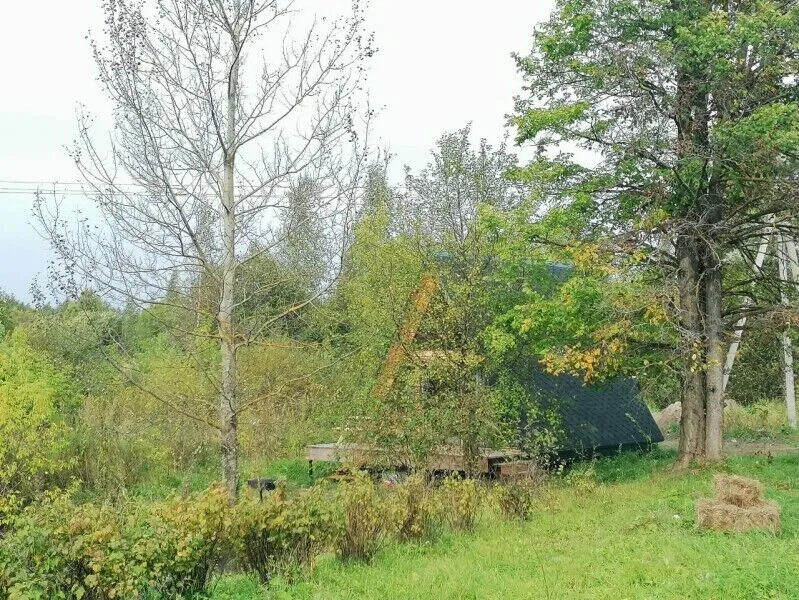 Дом грёз Утиные пруды, Ярославская область: фото 3