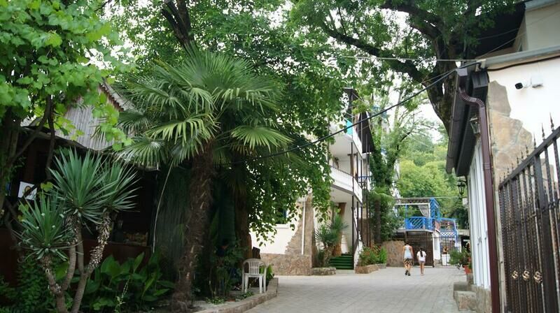 Солнечный берег, Краснодарский край: фото 2