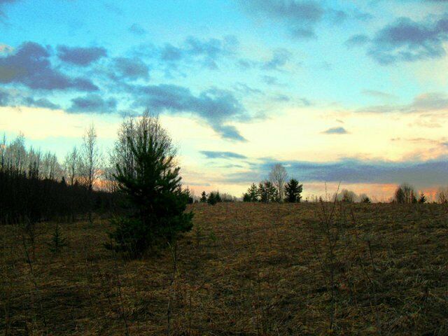 Волчица, Тверская область: фото 5