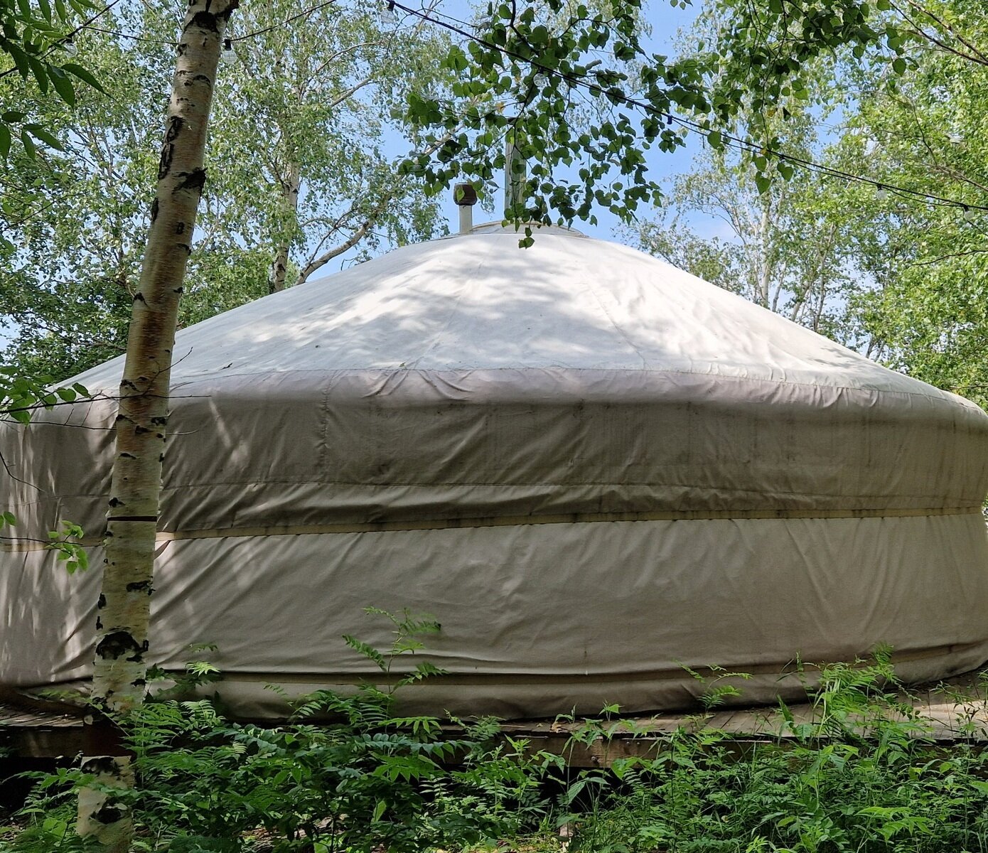 Фото 18 из отзыва о глэмпинге Шале на воде