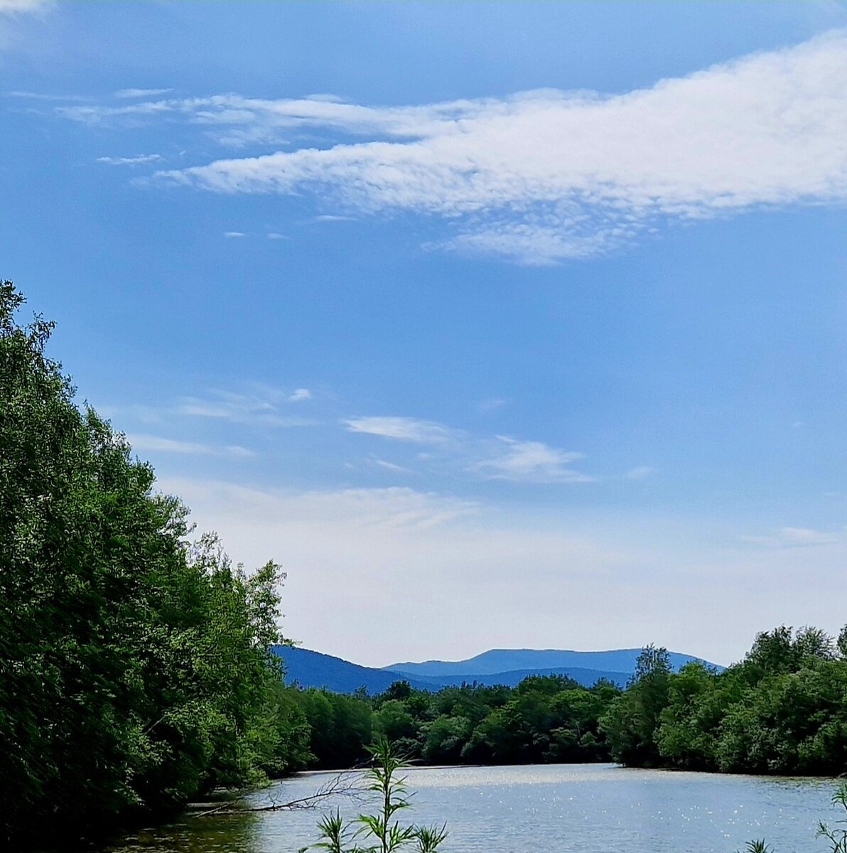 Фото 20 из отзыва о глэмпинге Шале на воде