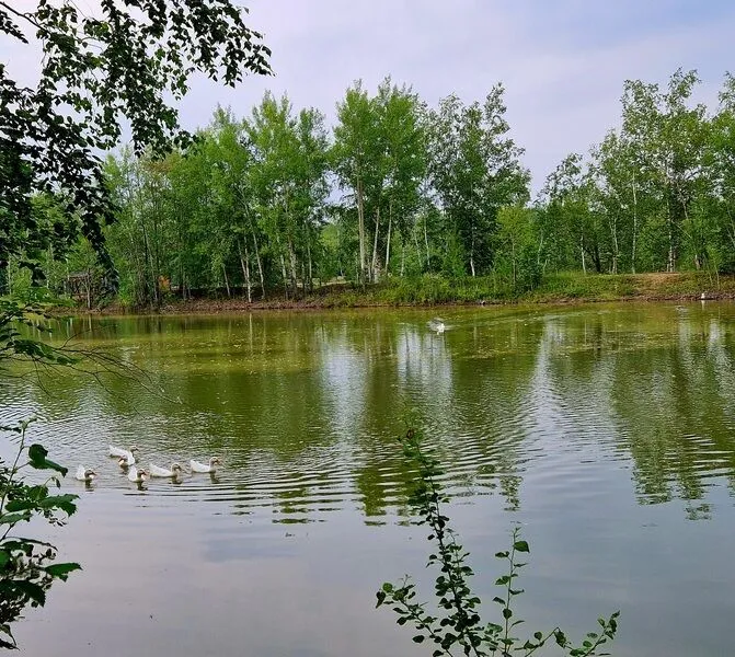 Фото 4 из отзыва о глэмпинге Шале на воде