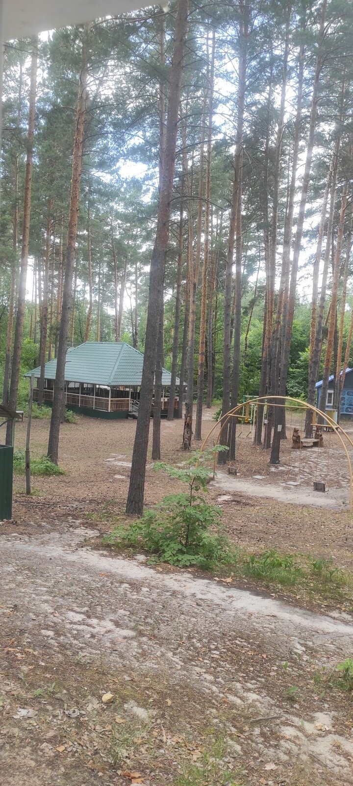 Фото 4 из отзыва о базе отдыха Лесная Дача