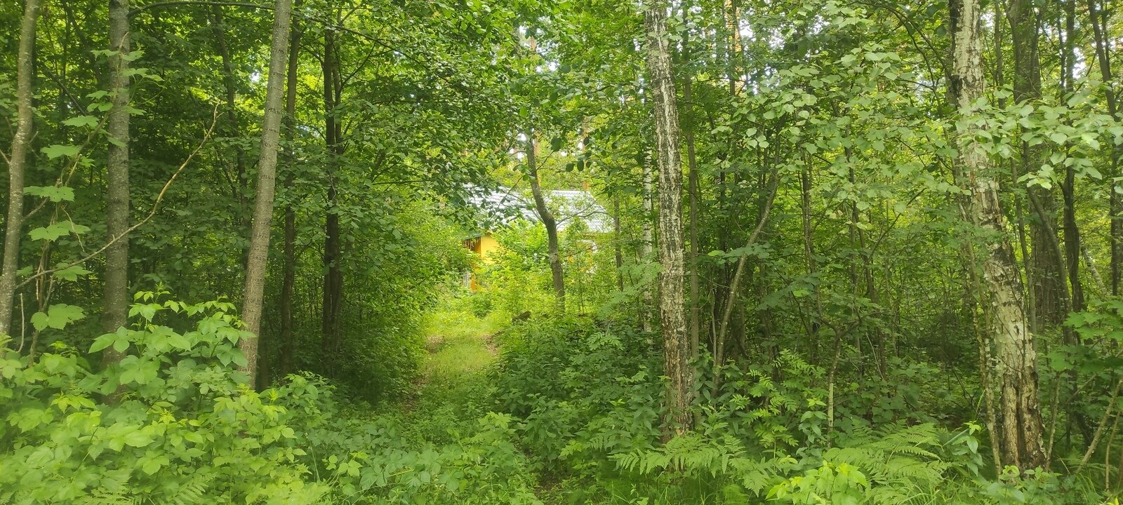 Фото 5 из отзыва о базе отдыха Лесная Дача