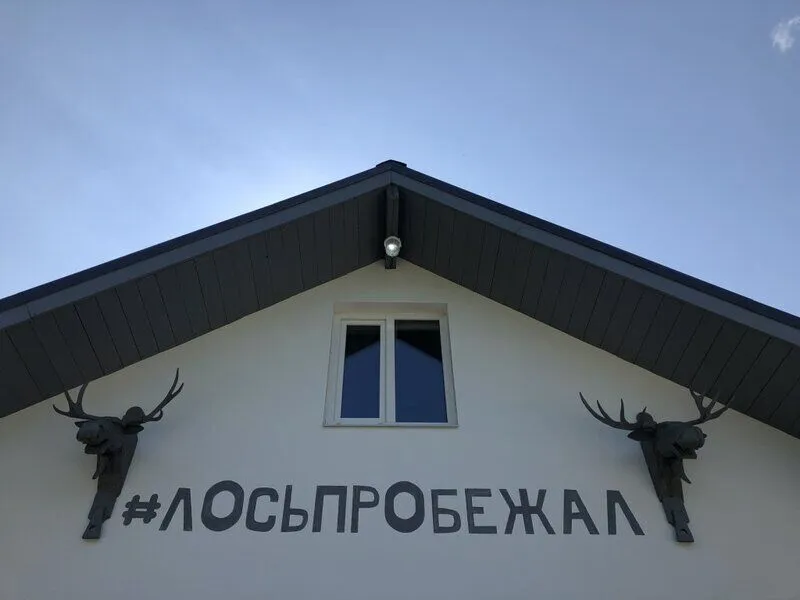 Лось Пробежал, Ярославская область: фото 2