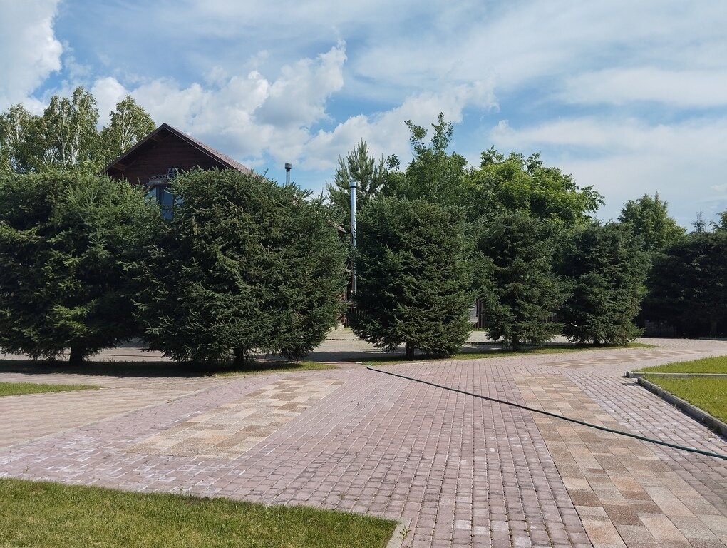 Фото из отзыва от 25.06.2024