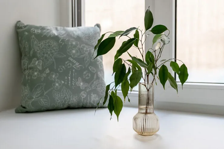 Стандартный 2-местный TWIN (без удобств)