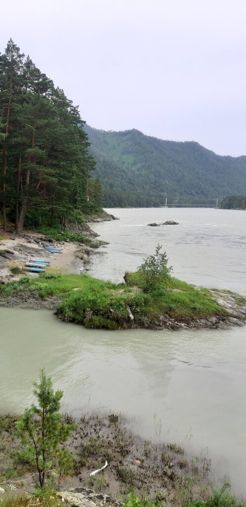 Фото из отзыва от 27.06.2024