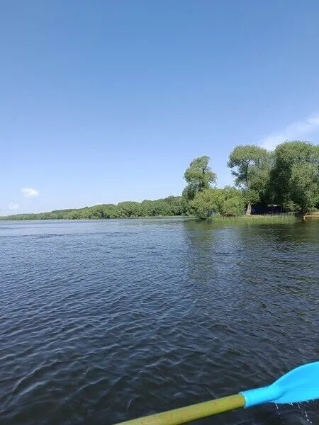 Уютный дом, Ярославская область: фото 3